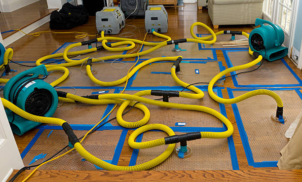 Professional Structural Drying And Dehumidification technician working in Gardner, KS