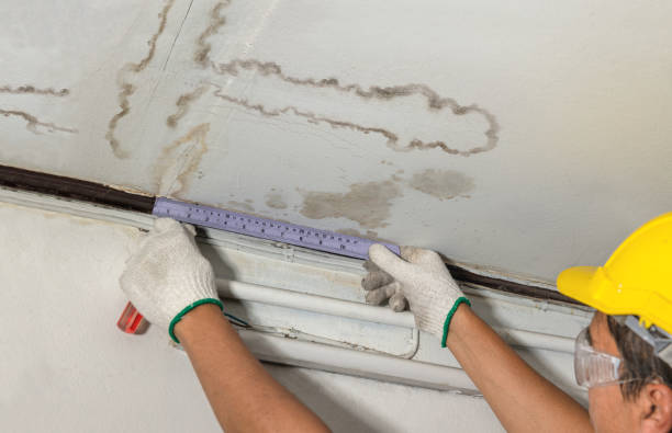 Affordable Structural Drying And Dehumidification solutions in Gardner, KS